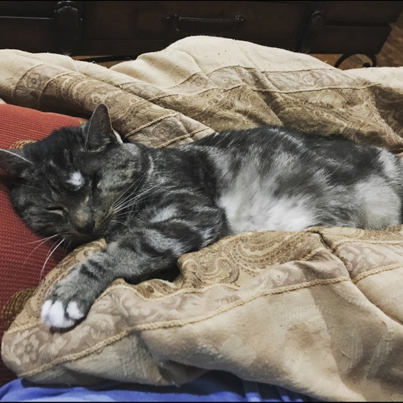 Meet your Posher, Raechel - Picture 2 of 2